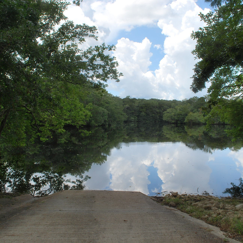 Apalachicola National Forest