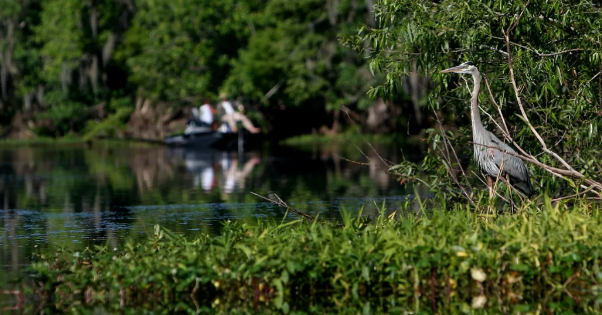 Florida State Parks