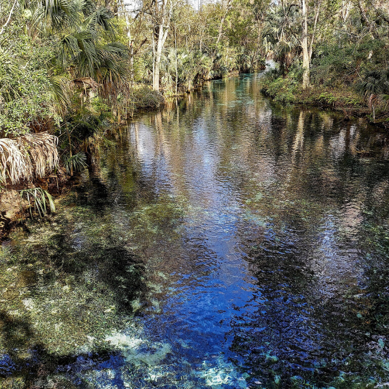 Silver Springs State Park