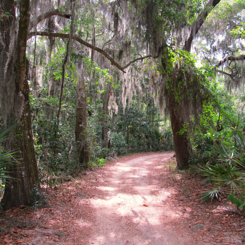 Timucuan Ecological and Historic Preserve