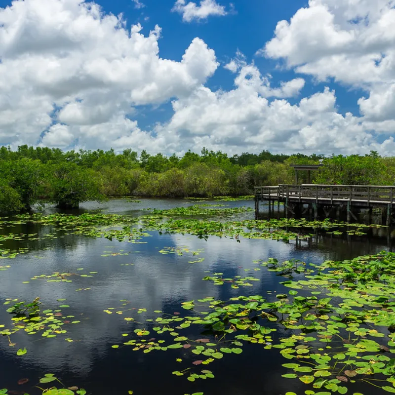 Everglades National Park