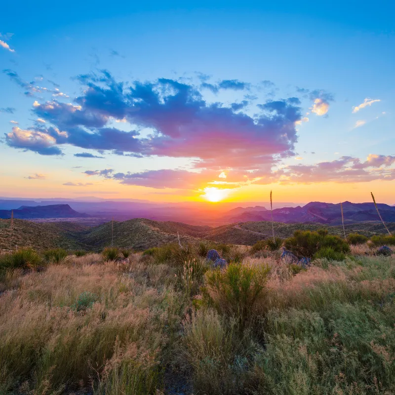 Big Bend National Park