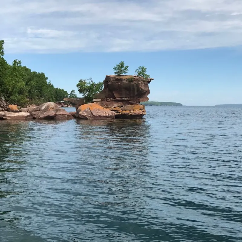 Marine Wildlife Watching