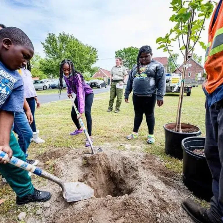 Conservation Efforts In Miami14