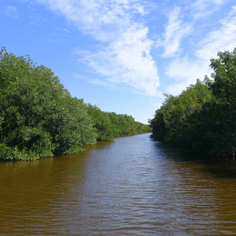 Everglades National Park 03