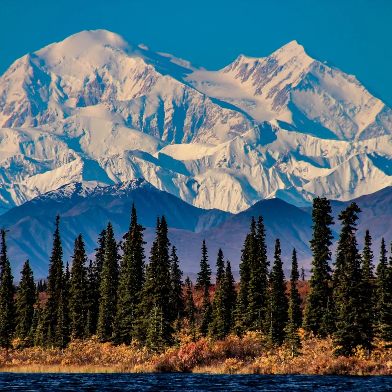 Denali National Park