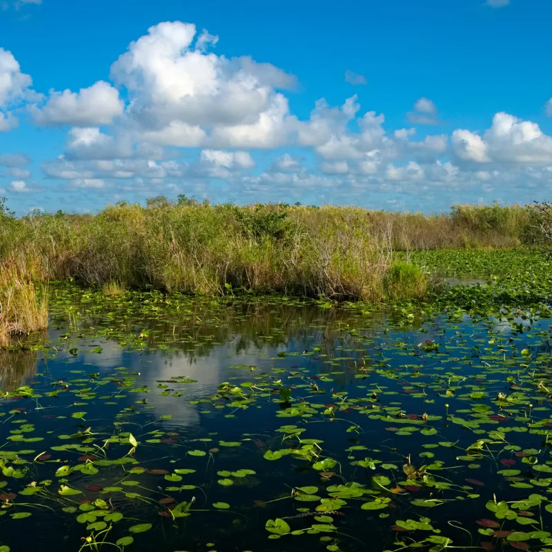 Ecotourism Spots In Florida01