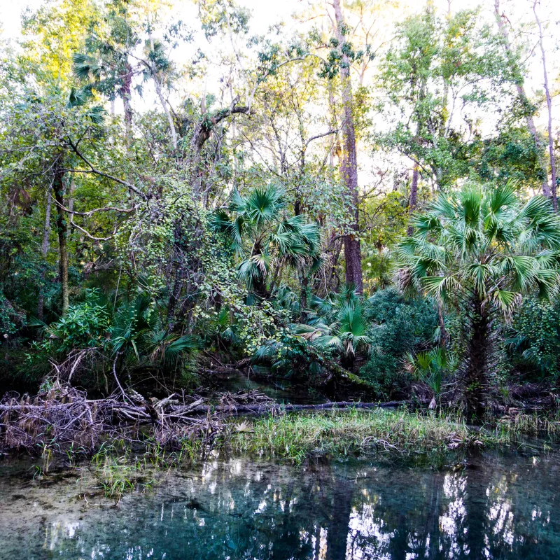 Ecotourism Spots In Florida04