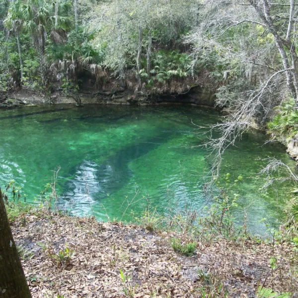 Blue Spring State Park