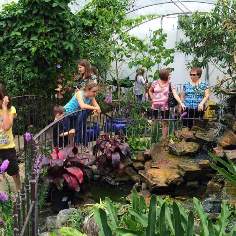 Lukas Nursery & Butterfly Encounter