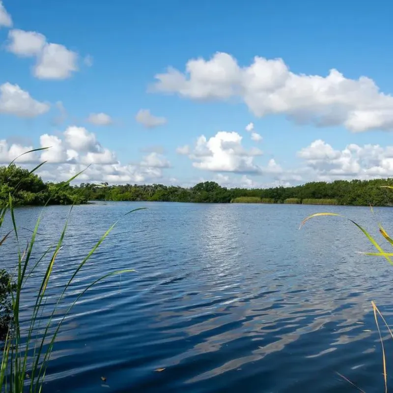 Everglades National Park