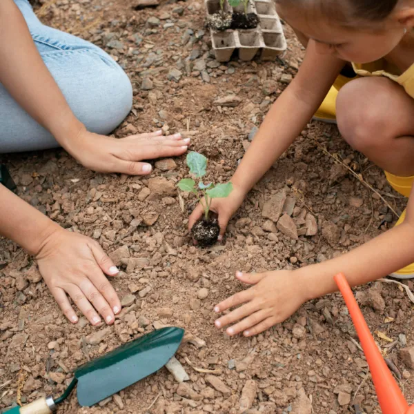 Miami Eco Tours For Families03