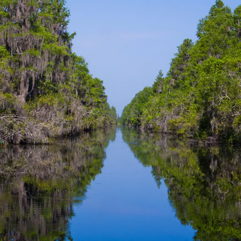 Okefenokee National Wildlife Refuge, Georgia