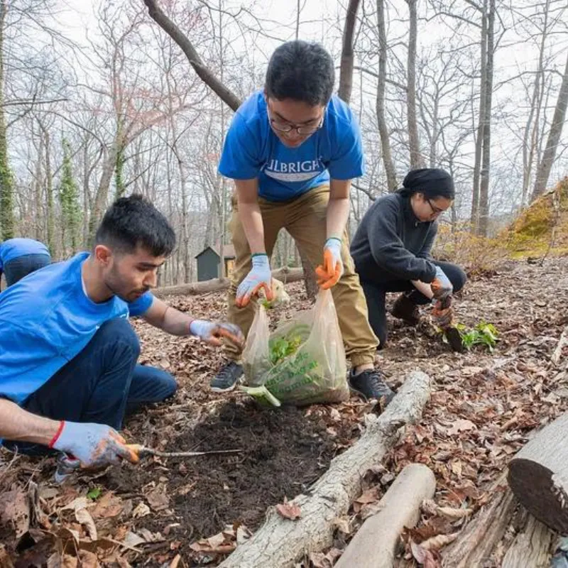 Wildlife Conservation Volunteering