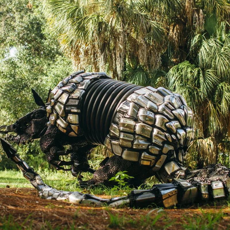 Boyd Hill Nature Preserve, St. Pete