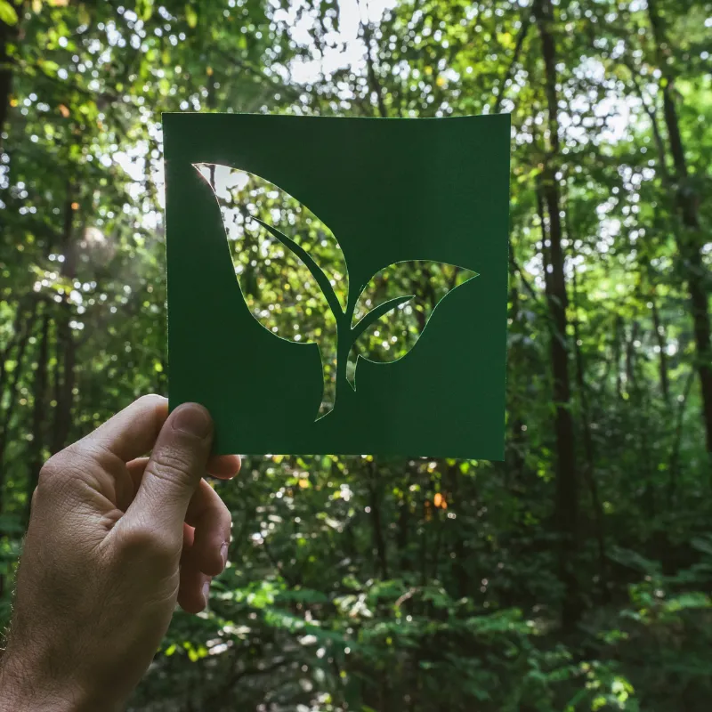 Eco-Friendly Wildlife Watching Gear