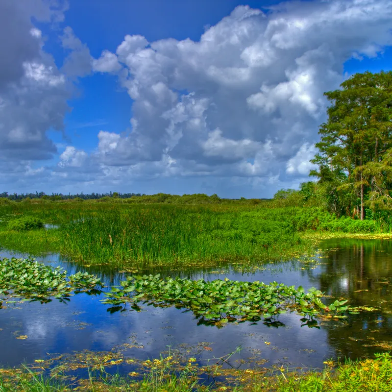 Regional Wildlife Watching USA