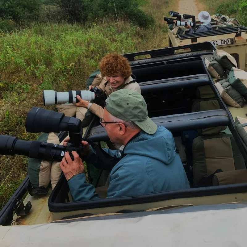 Guided Wildlife Watching