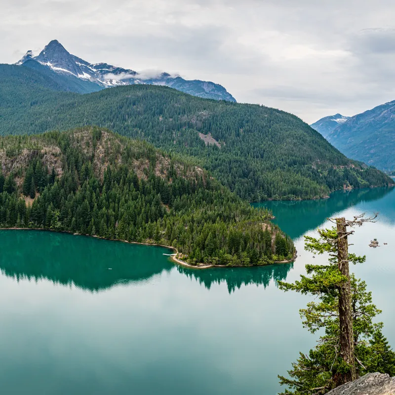 Washington Wildlife Watching Spots